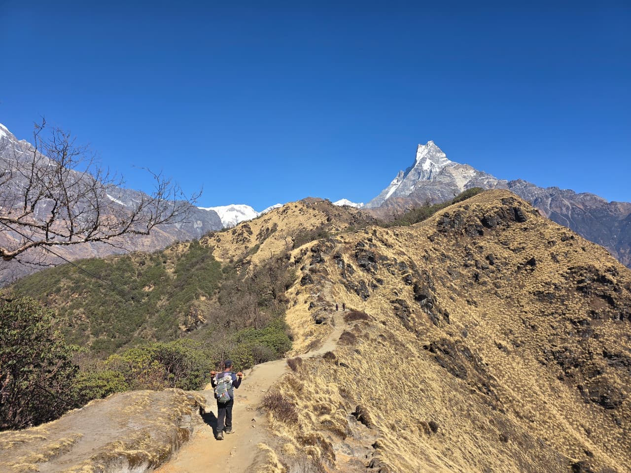 Mardi Himal Trek — photo 10